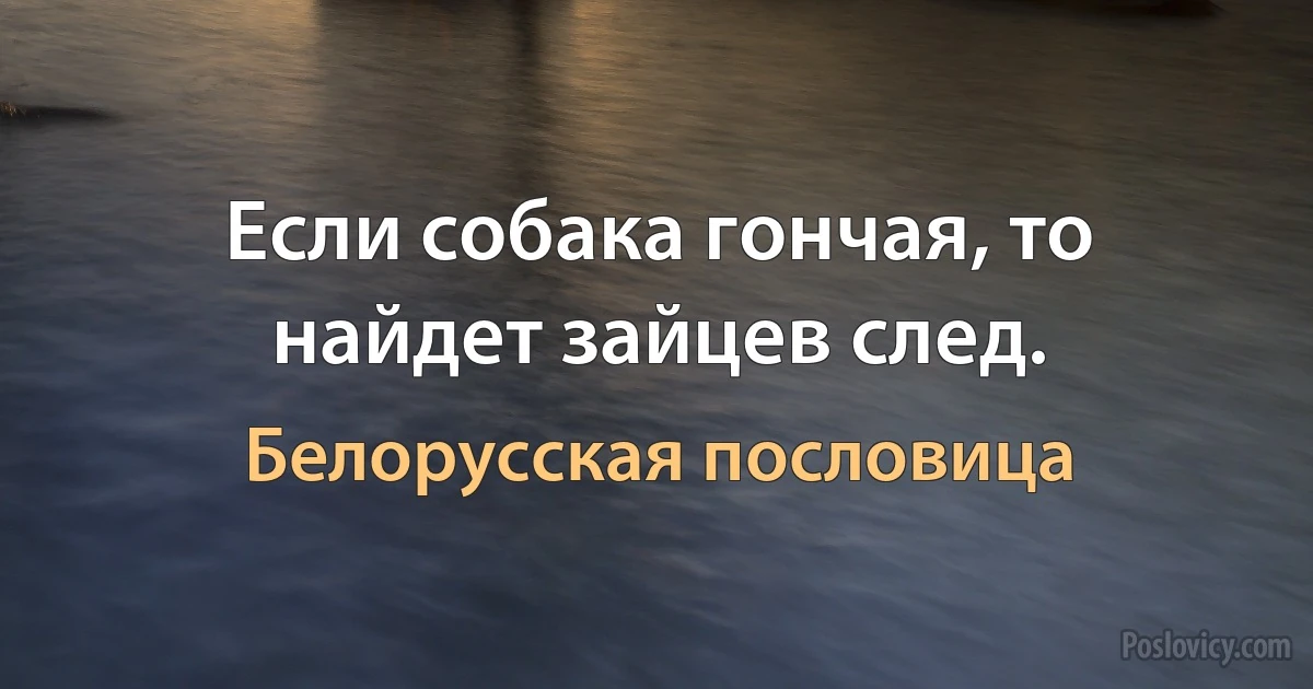 Если собака гончая, то найдет зайцев след. (Белорусская пословица)