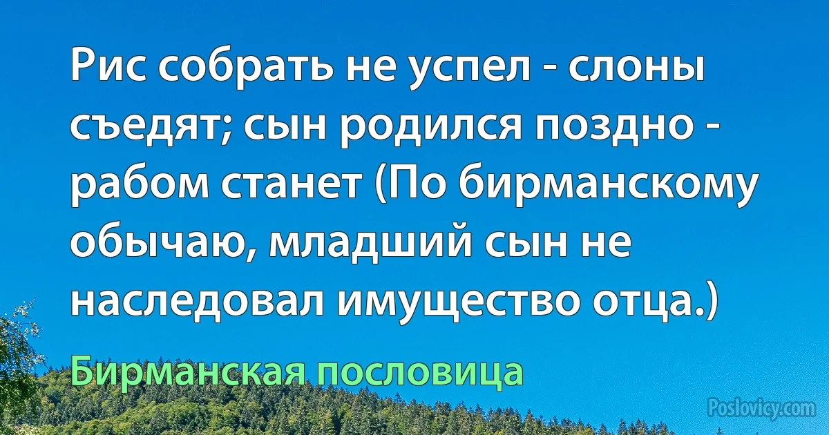 Рис собрать не успел - слоны съедят; сын родился поздно - рабом станет (По бирманскому обычаю, младший сын не наследовал имущество отца.) (Бирманская пословица)