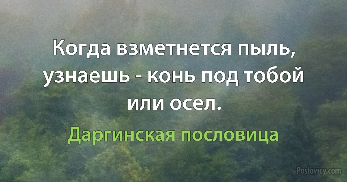 Когда взметнется пыль, узнаешь - конь под тобой или осел. (Даргинская пословица)