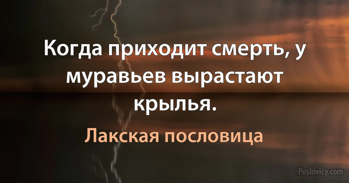 Когда приходит смерть, у муравьев вырастают крылья. (Лакская пословица)