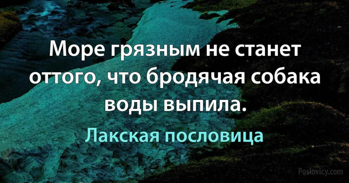 Море грязным не станет оттого, что бродячая собака воды выпила. (Лакская пословица)