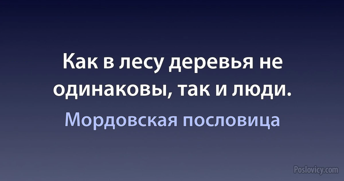 Как в лесу деревья не одинаковы, так и люди. (Мордовская пословица)