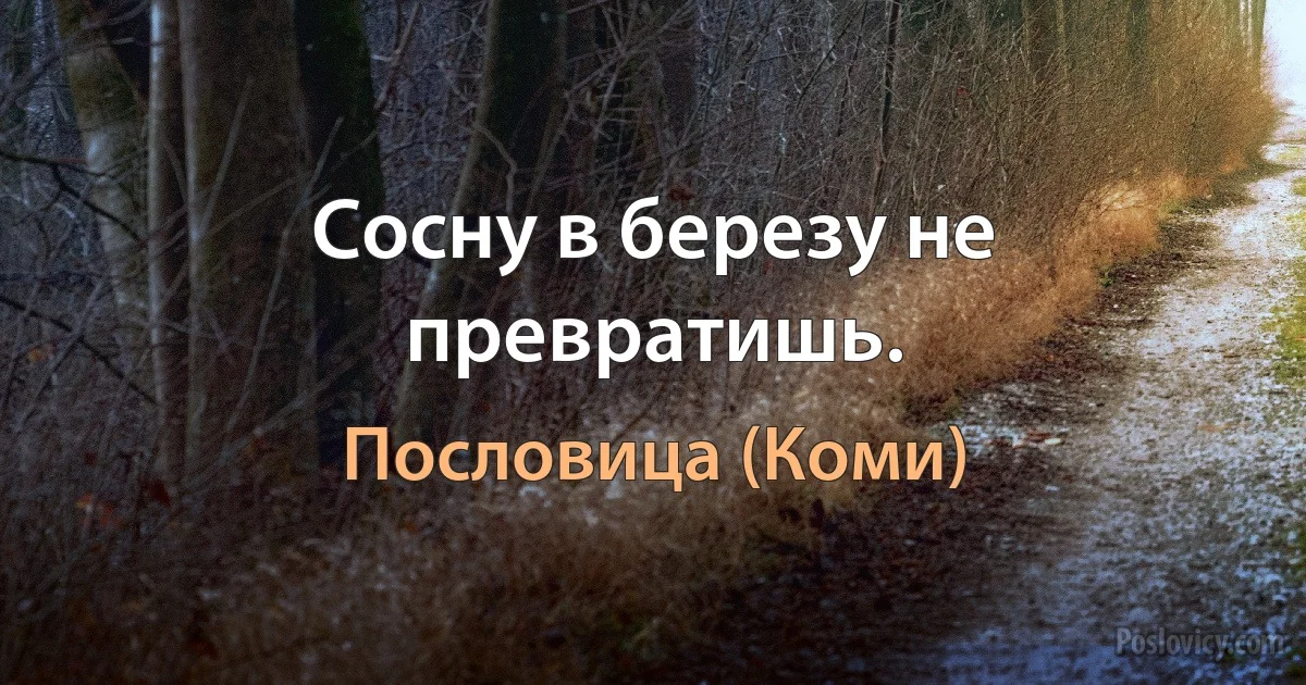 Сосну в березу не превратишь. (Пословица (Коми))