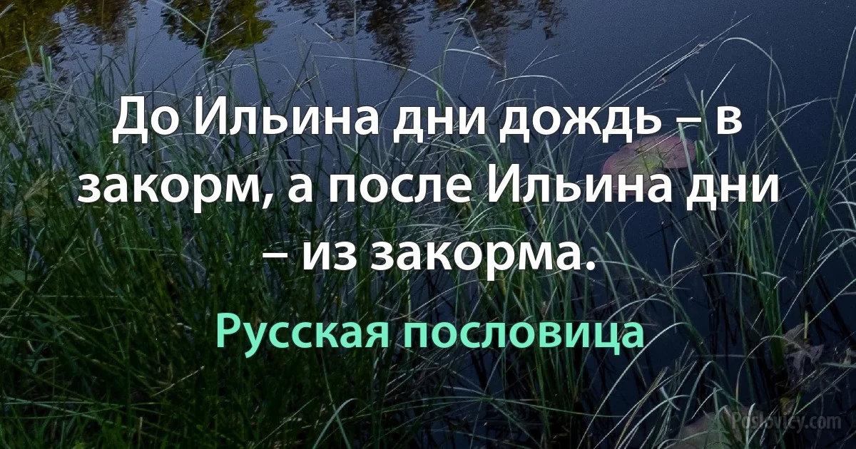 До Ильина дни дождь – в закорм, а после Ильина дни – из закорма. (Русская пословица)