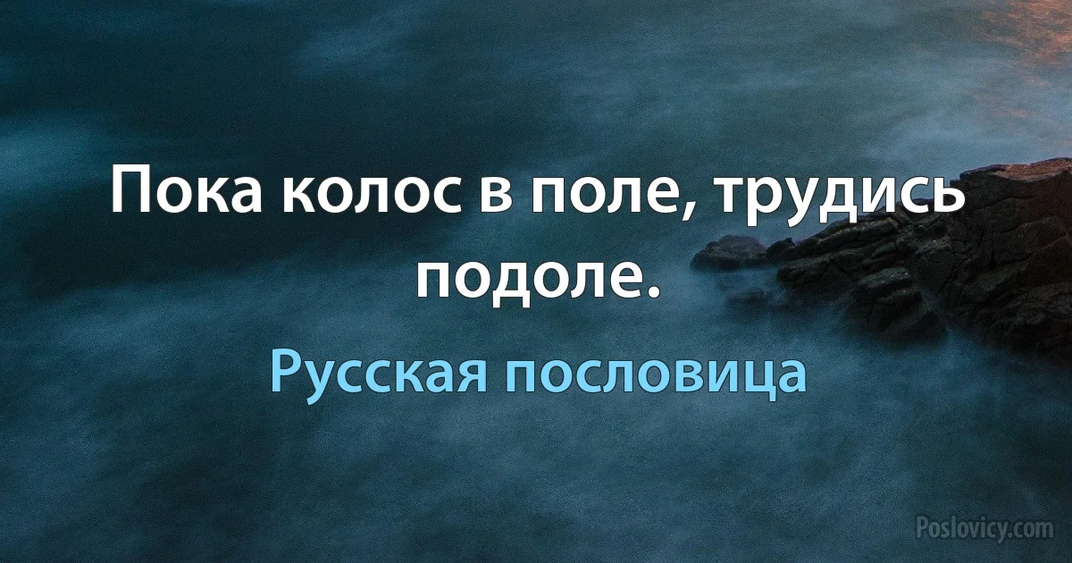 Пока колос в поле, трудись подоле. (Русская пословица)