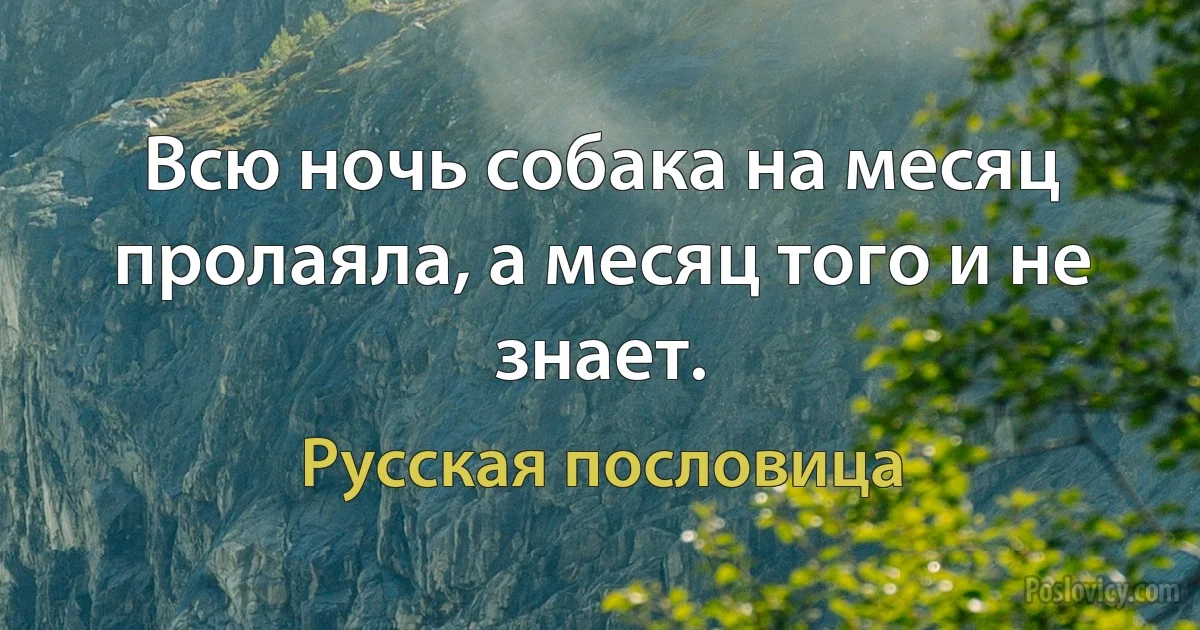 Всю ночь собака на месяц пролаяла, а месяц того и не знает. (Русская пословица)