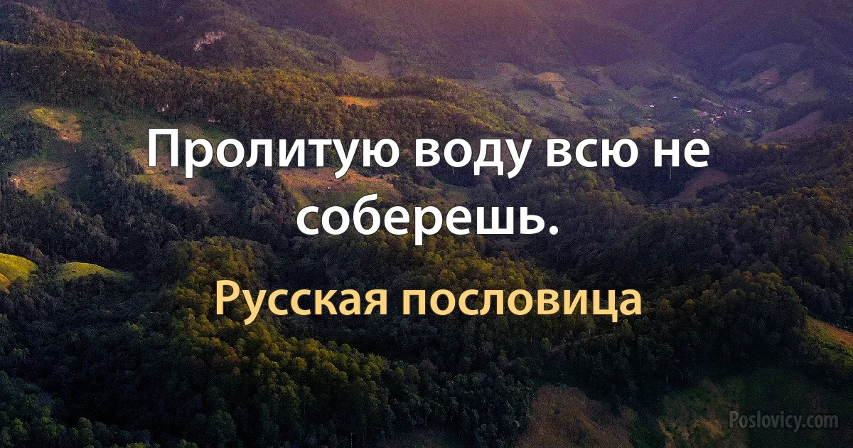 Пролитую воду всю не соберешь. (Русская пословица)