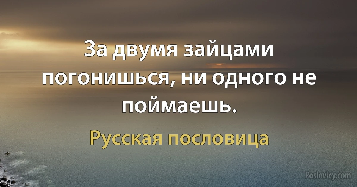 За двумя зайцами погонишься, ни одного не поймаешь. (Русская пословица)