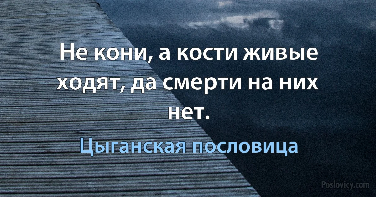 Не кони, а кости живые ходят, да смерти на них нет. (Цыганская пословица)