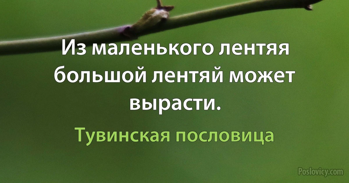 Из маленького лентяя большой лентяй может вырасти. (Тувинская пословица)