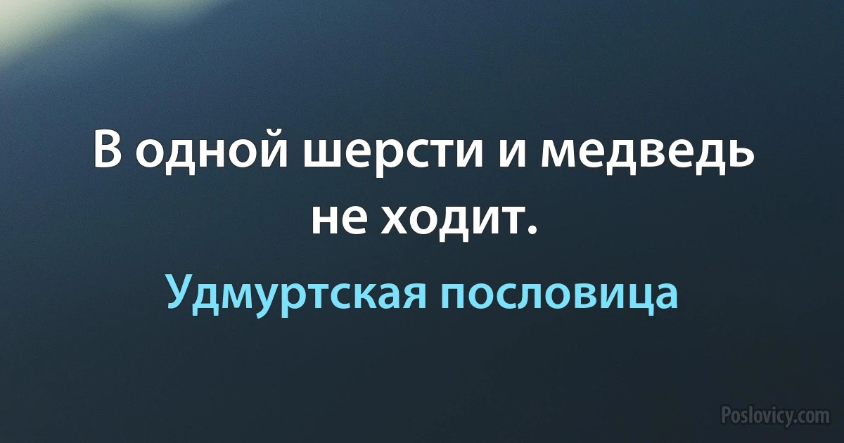 В одной шерсти и медведь не ходит. (Удмуртская пословица)