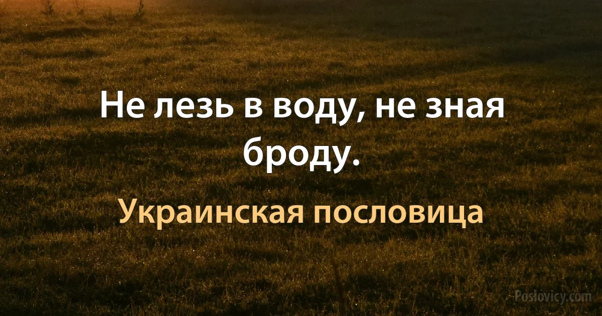 Не лезь в воду, не зная броду. (Украинская пословица)