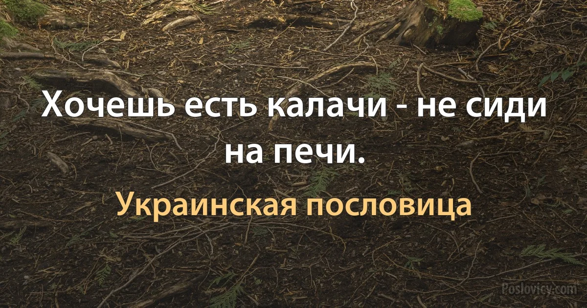 Хочешь есть калачи - не сиди на печи. (Украинская пословица)