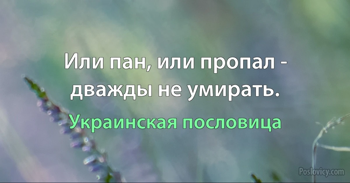 Или пан, или пропал - дважды не умирать. (Украинская пословица)