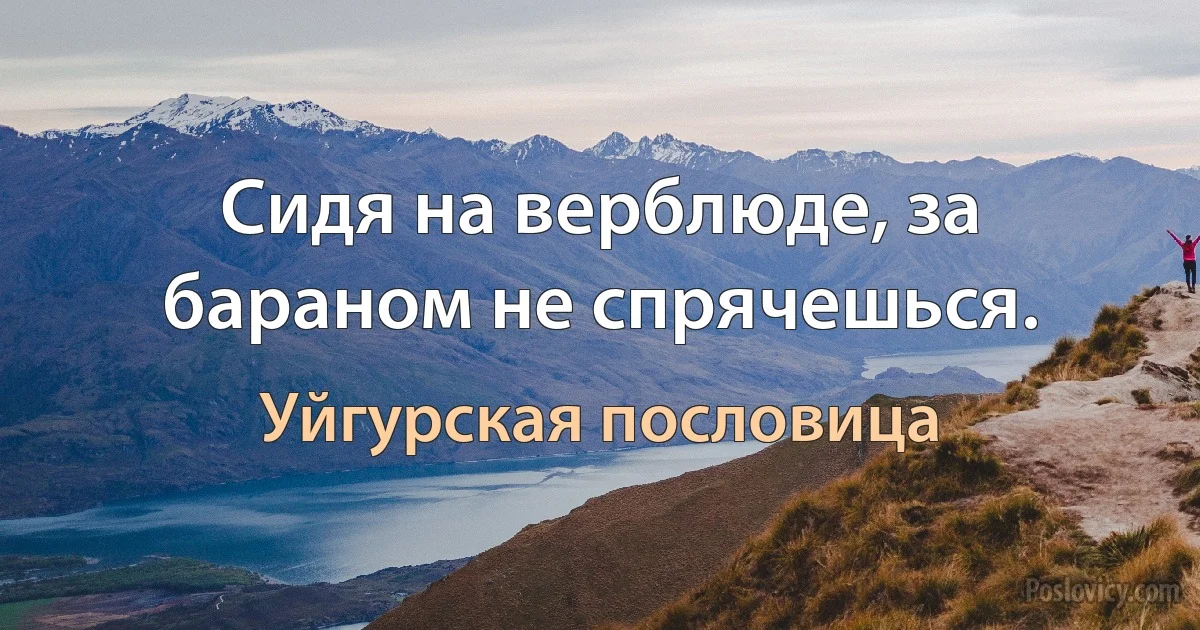 Сидя на верблюде, за бараном не спрячешься. (Уйгурская пословица)