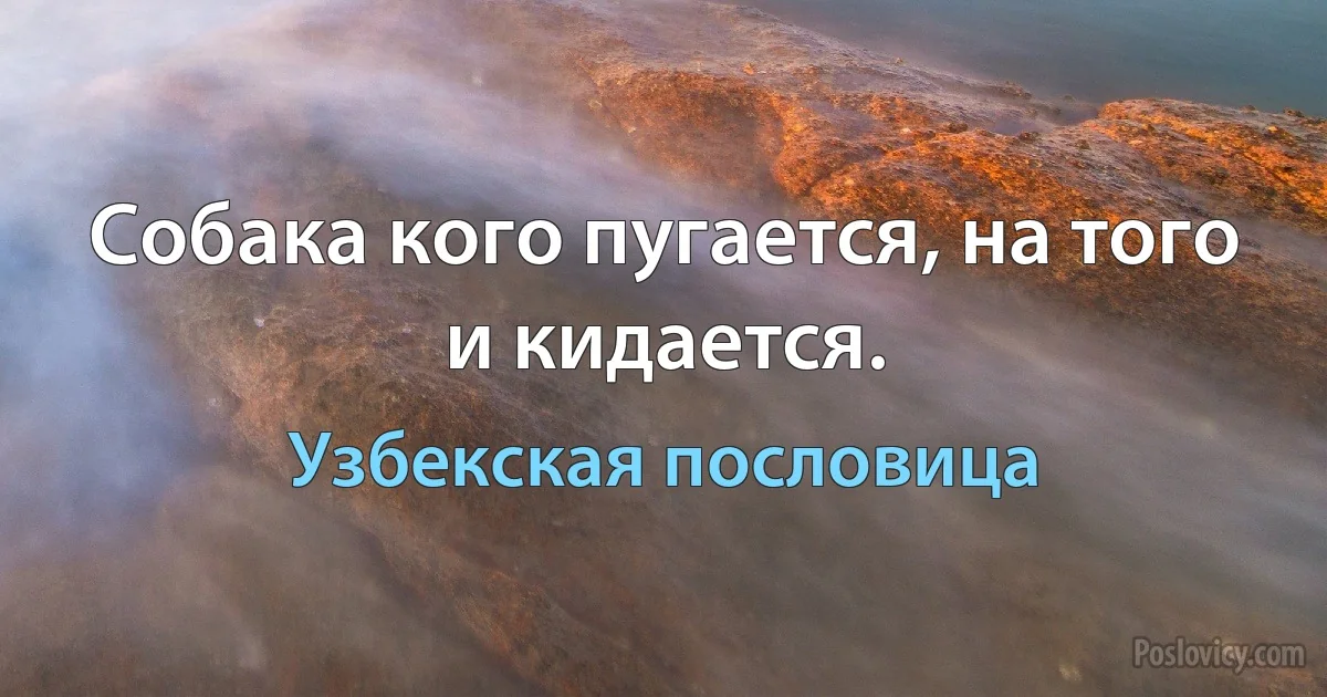 Собака кого пугается, на того и кидается. (Узбекская пословица)