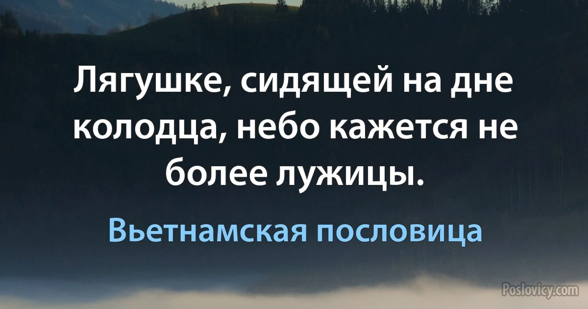 Лягушке, сидящей на дне колодца, небо кажется не более лужицы. (Вьетнамская пословица)