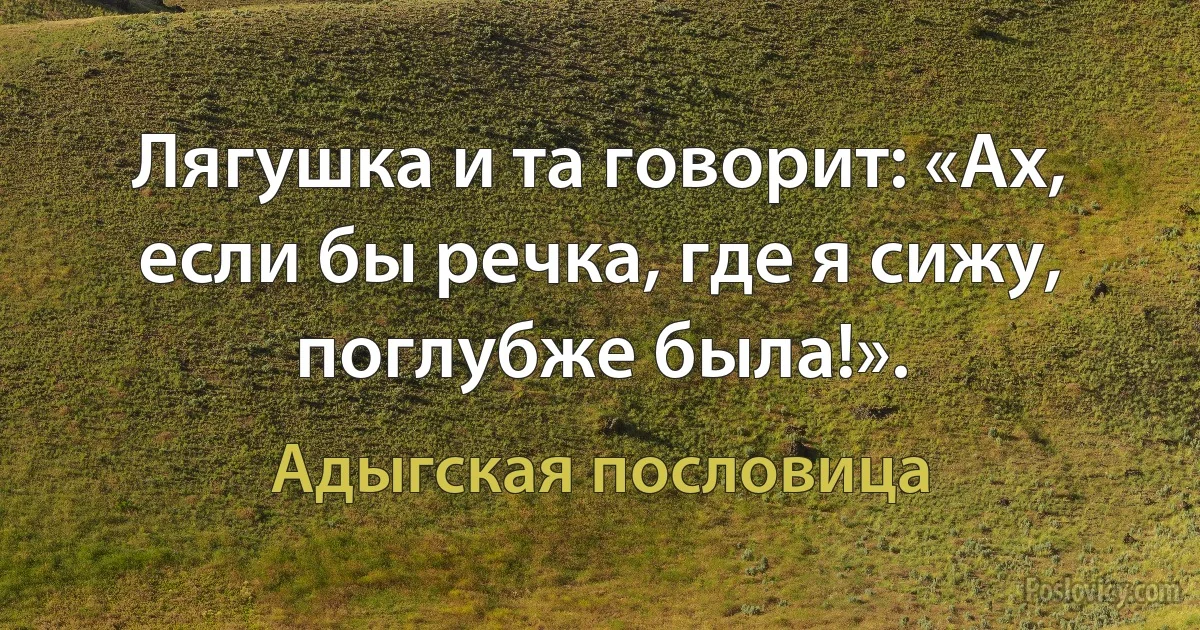 Лягушка и та говорит: «Ах, если бы речка, где я сижу, поглубже была!». (Адыгская пословица)