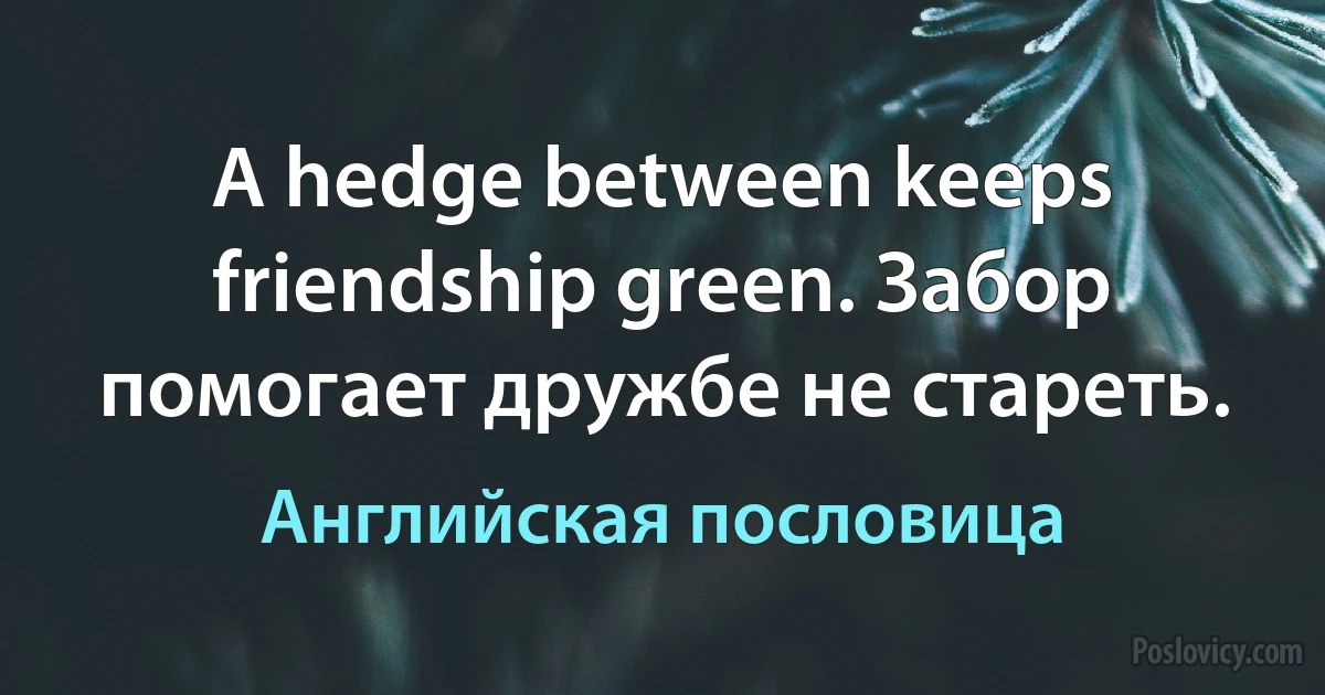 A hedge between keeps friendship green. Забор помогает дружбе не стареть. (Английская пословица)