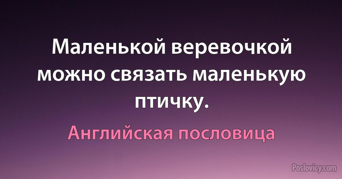 Маленькой веревочкой можно связать маленькую птичку. (Английская пословица)