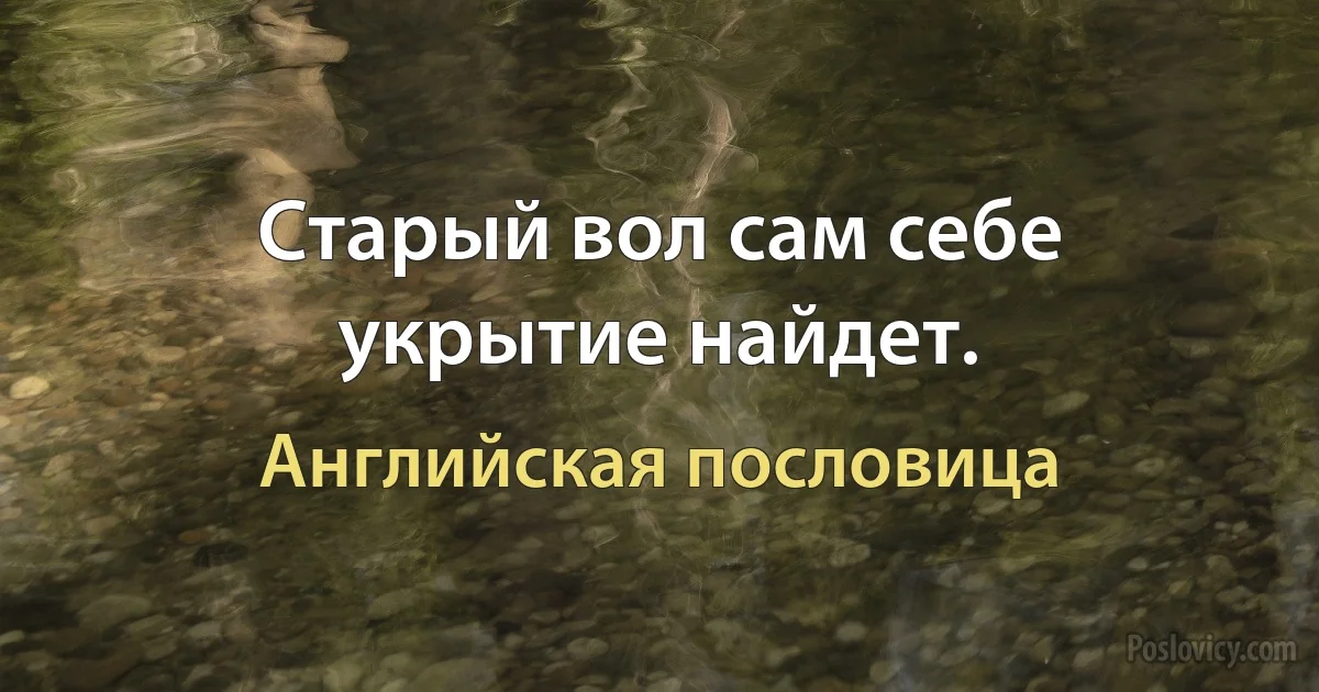 Старый вол сам себе укрытие найдет. (Английская пословица)