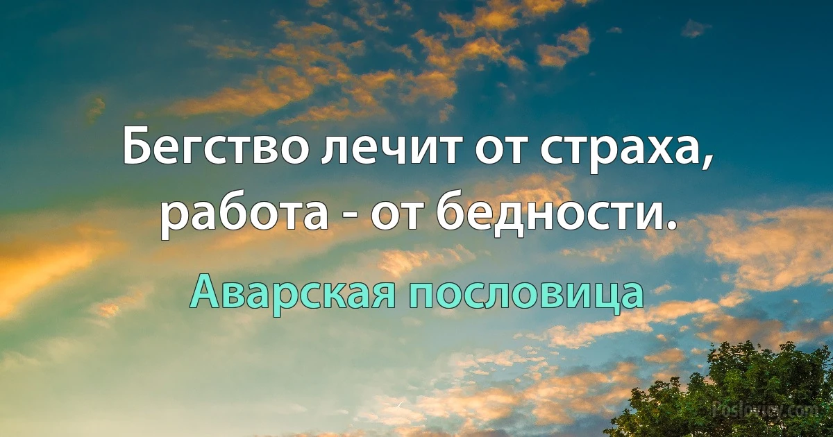 Бегство лечит от страха, работа - от бедности. (Аварская пословица)