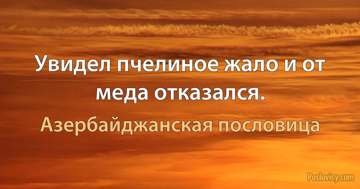 Увидел пчелиное жало и от меда отказался. (Азербайджанская пословица)