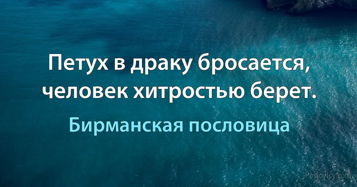 Петух в драку бросается, человек хитростью берет. (Бирманская пословица)