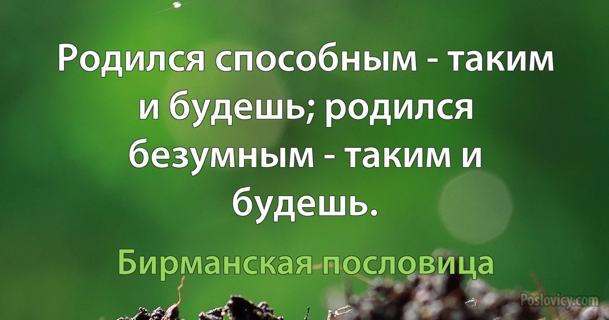 Родился способным - таким и будешь; родился безумным - таким и будешь. (Бирманская пословица)