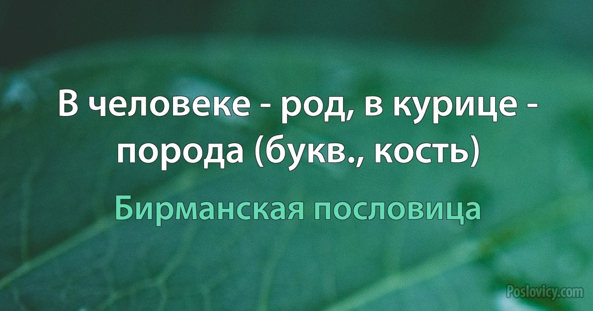 В человеке - род, в курице - порода (букв., кость) (Бирманская пословица)