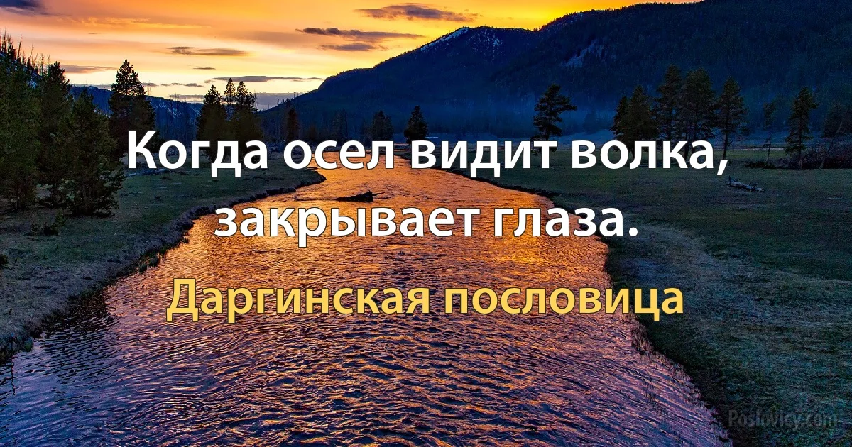 Когда осел видит волка, закрывает глаза. (Даргинская пословица)