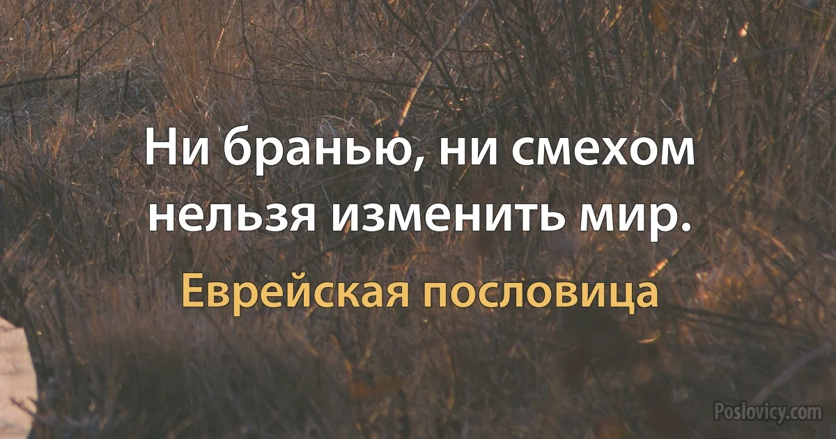 Ни бранью, ни смехом нельзя изменить мир. (Еврейская пословица)