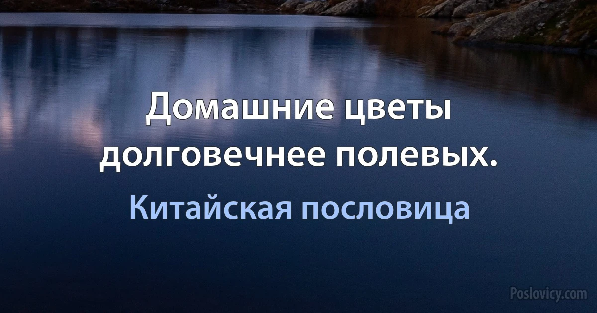 Домашние цветы долговечнее полевых. (Китайская пословица)