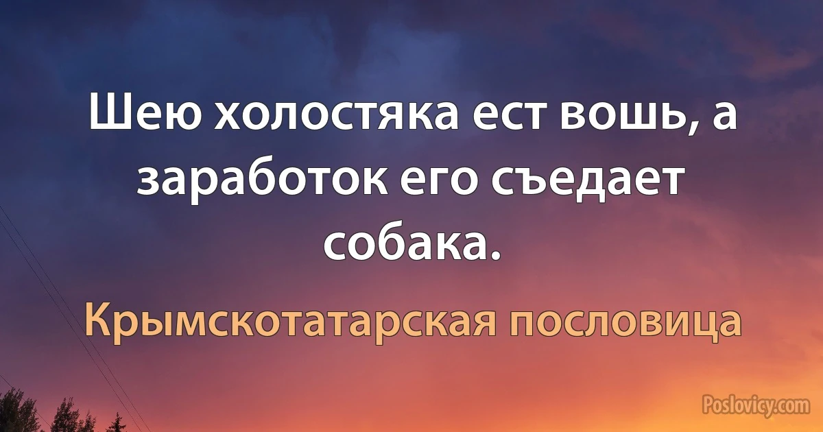 Шею холостяка ест вошь, а заработок его съедает собака. (Крымскотатарская пословица)