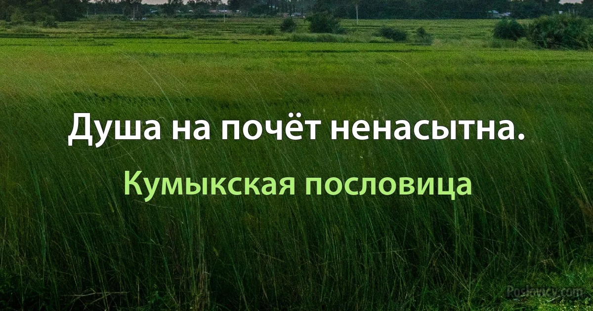 Душа на почёт ненасытна. (Кумыкская пословица)