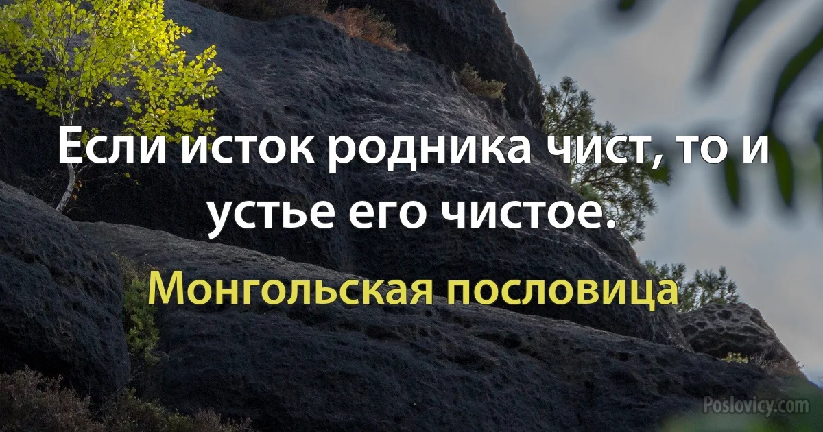 Если исток родника чист, то и устье его чистое. (Монгольская пословица)