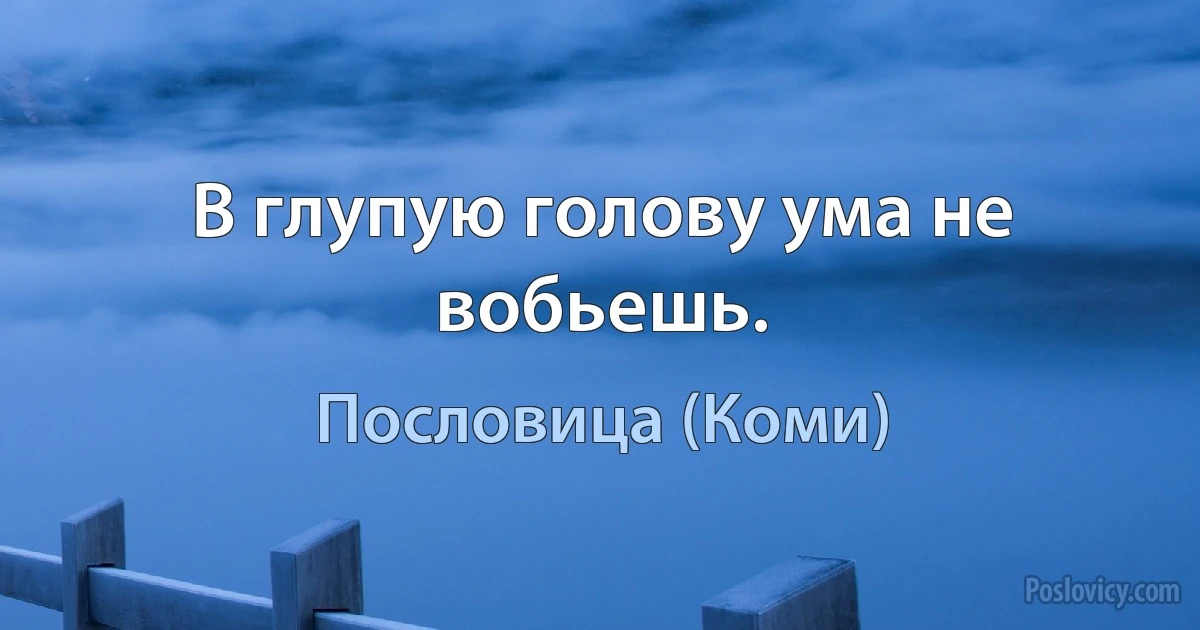 В глупую голову ума не вобьешь. (Пословица (Коми))