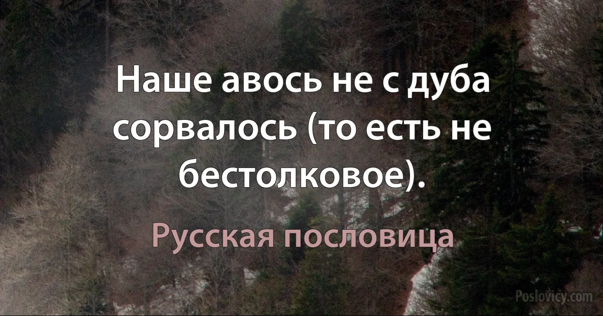 Наше авось не с дуба сорвалось (то есть не бестолковое). (Русская пословица)