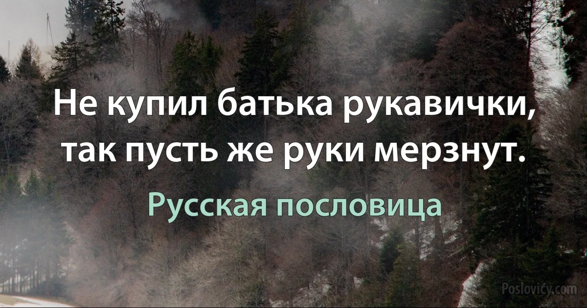 Не купил батька рукавички, так пусть же руки мерзнут. (Русская пословица)