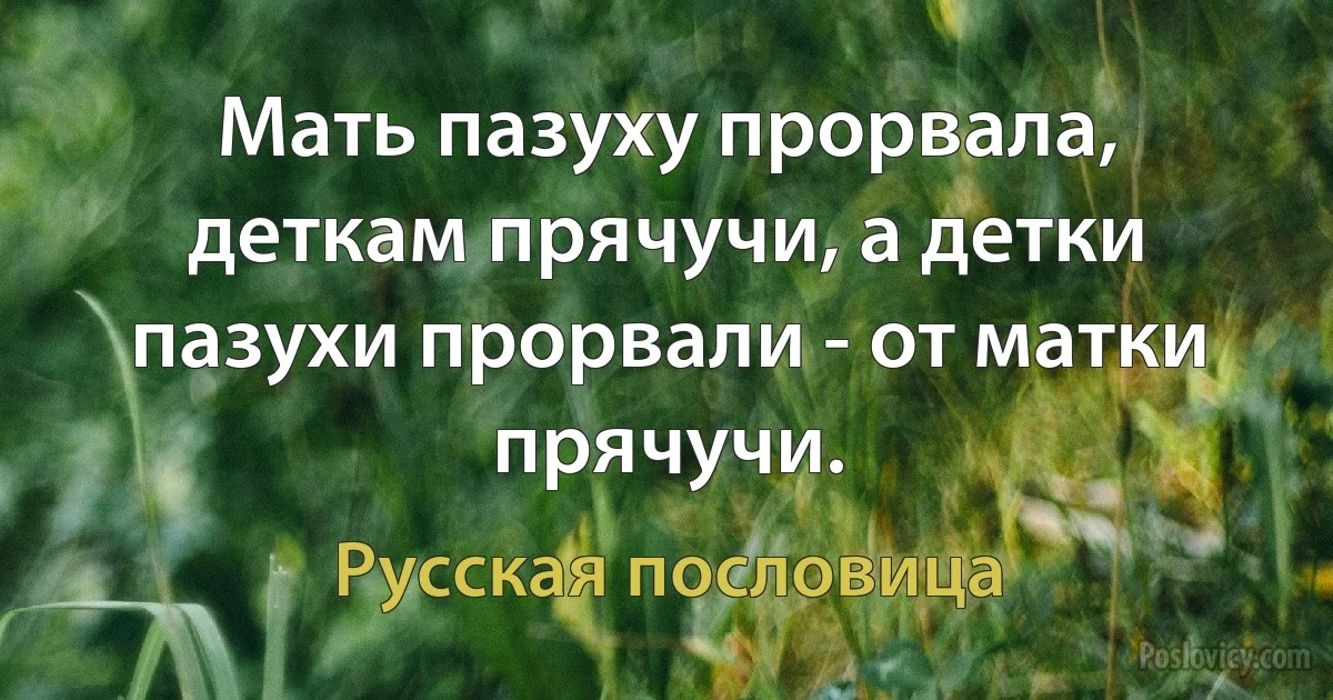 Мать пазуху прорвала, деткам прячучи, а детки пазухи прорвали - от матки прячучи. (Русская пословица)