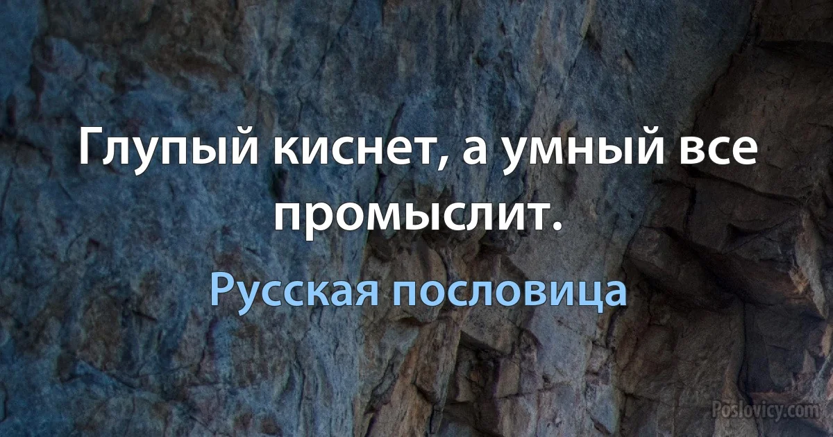 Глупый киснет, а умный все промыслит. (Русская пословица)