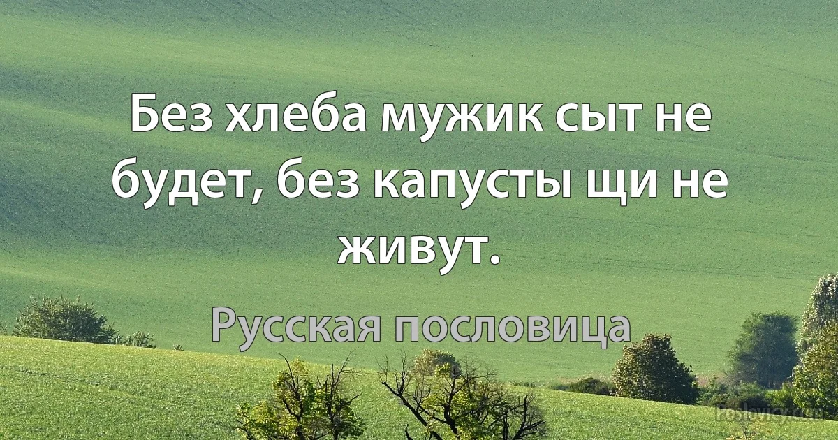 Без хлеба мужик сыт не будет, без капусты щи не живут. (Русская пословица)