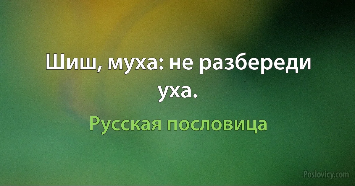 Шиш, муха: не разбереди уха. (Русская пословица)