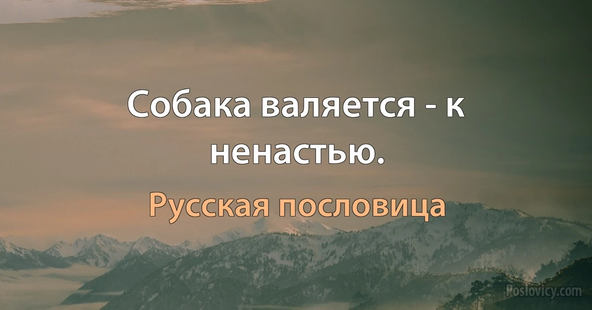 Собака валяется - к ненастью. (Русская пословица)