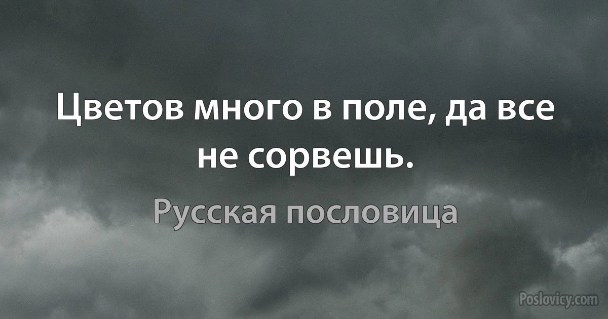 Цветов много в поле, да все не сорвешь. (Русская пословица)