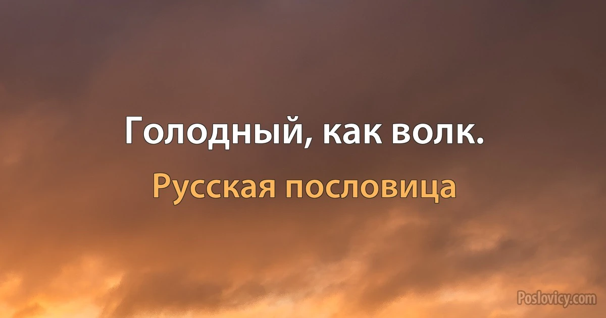 Голодный, как волк. (Русская пословица)