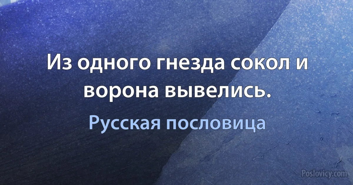 Из одного гнезда сокол и ворона вывелись. (Русская пословица)