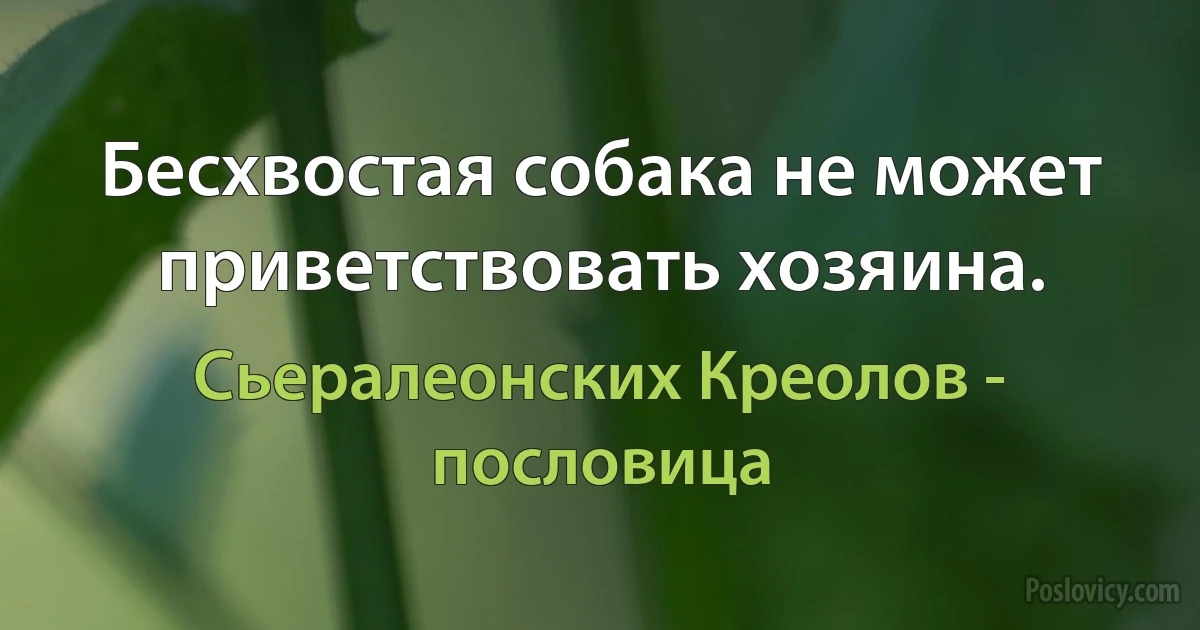 Бесхвостая собака не может приветствовать хозяина. (Сьералеонских Креолов - пословица)