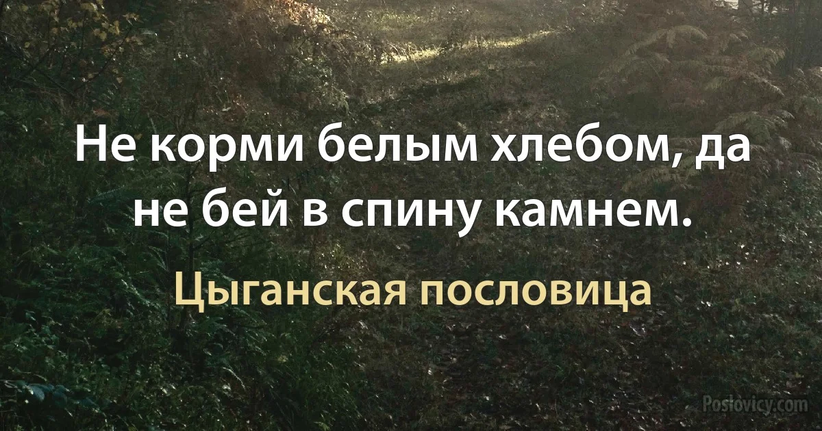 Не корми белым хлебом, да не бей в спину камнем. (Цыганская пословица)