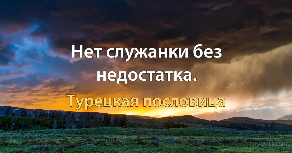 Нет служанки без недостатка. (Турецкая пословица)